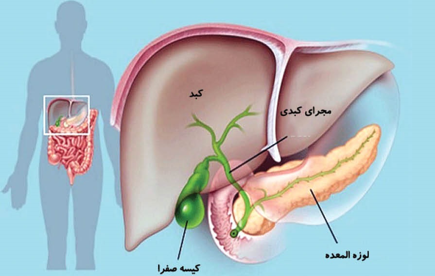 برای سلامت کیسه صفرا چه‌کار کنیم؟