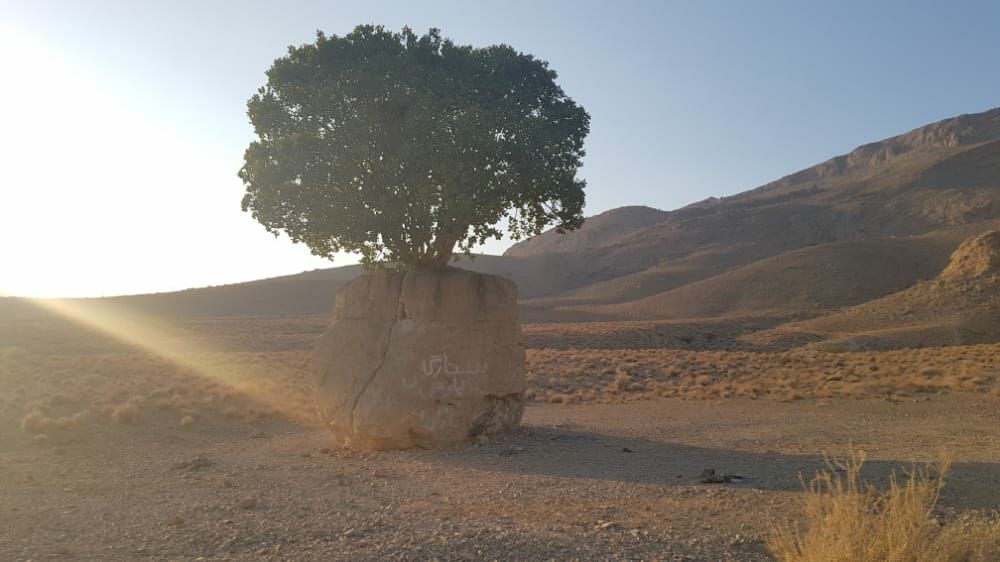 جاذبه گردشگری مروارید سبز ارسنجان، نیازمند حمایت مسئولان ملی است