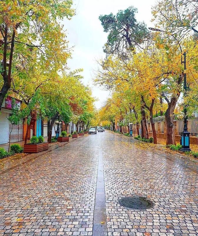 پاییز شیراز، خیابان طالقانی