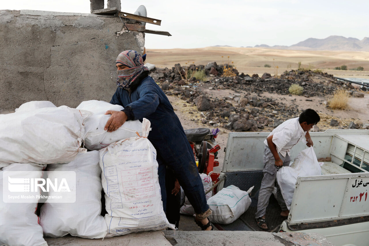تولید سنگ پا در روستای «قزلجه‌کند»