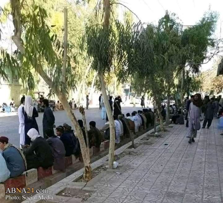 عکس/ اهدای خون اهل سنت افغانستان برای مجروحان شیعه حمله تروریستی قندهار
