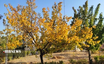 پایان هفتهای سرد در انتظار زنجانیها