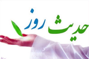 حکمت/ تفاوت عاقل و جاهل