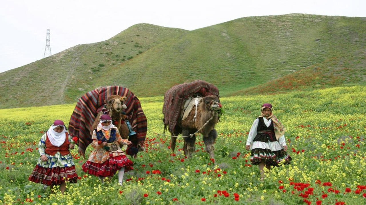 ممنوعیت کوچ زودهنگام عشایر خراسان شمالی