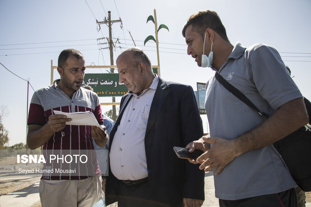 عکس/ تکاپو در نیشکر هفت تپه پس از واگذاری به شرکت توسعه نیشکر