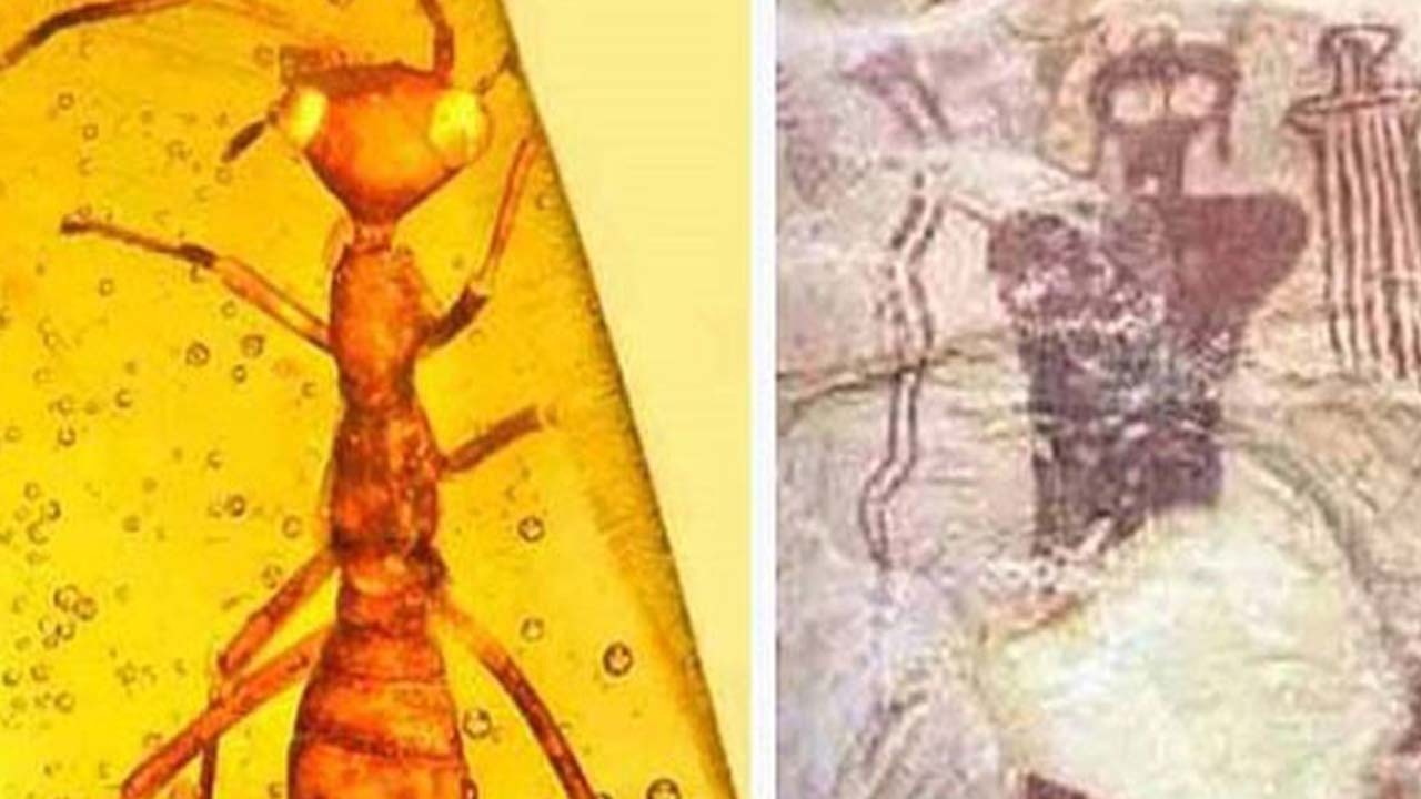 گوناگون/ حقایقی درباره مردمان مورچه‌ای؛ باور عجیب تمدن‌های باستانی!