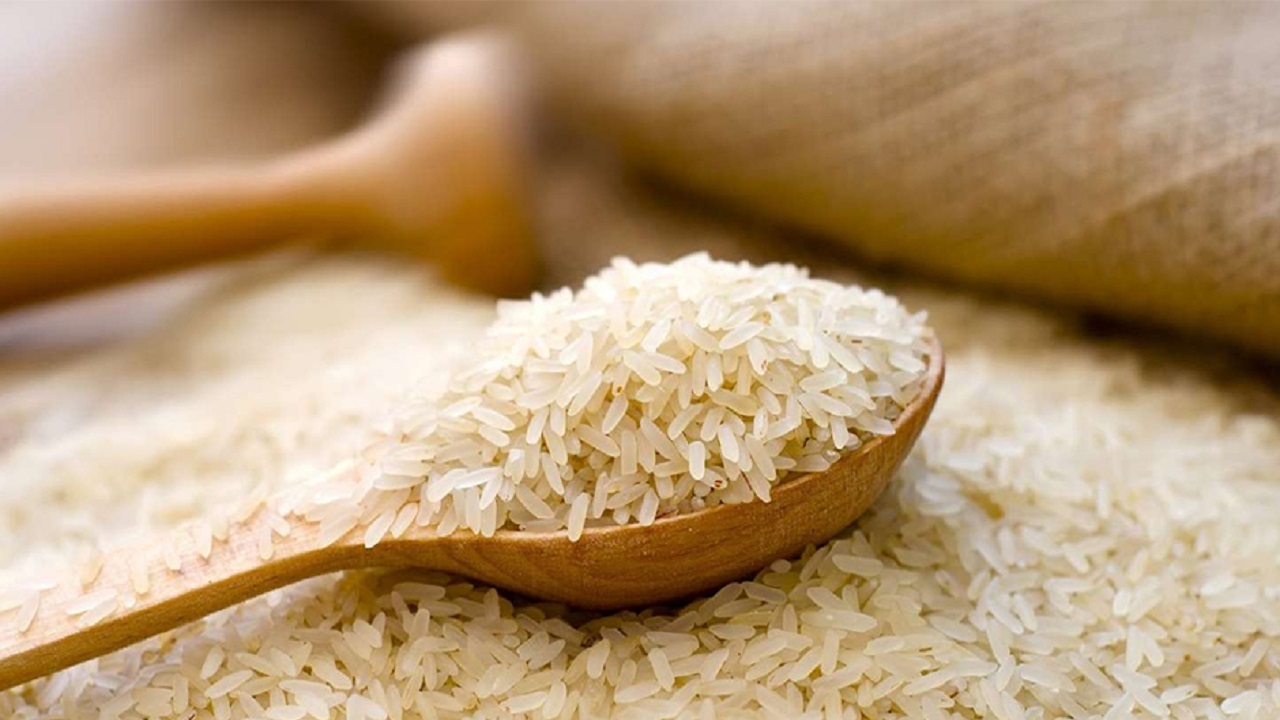 برنج ارزان میشود؟