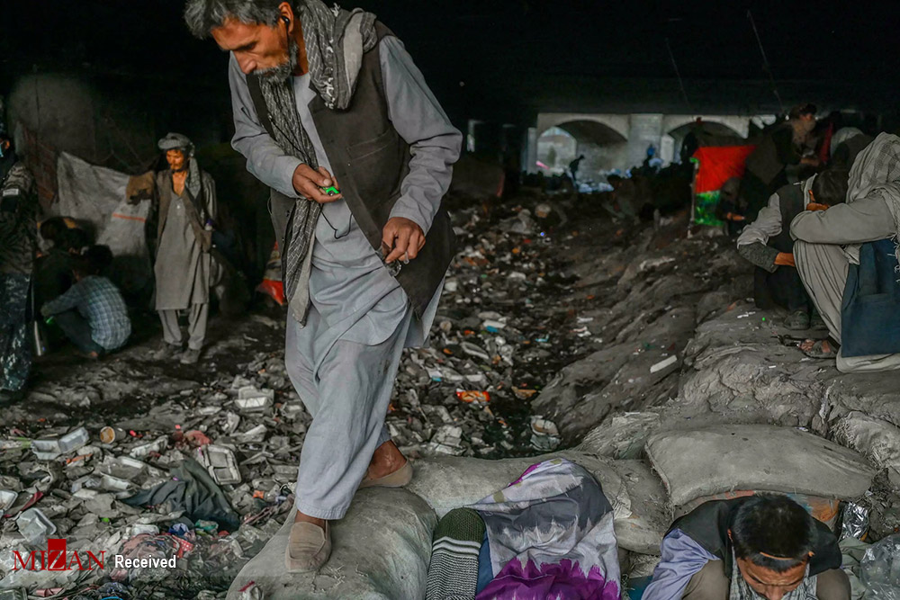 عکس/ دستگیری معتادان توسط طالبان