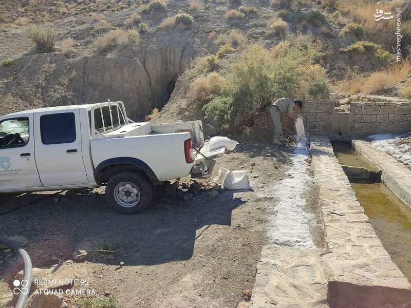 همت محیط‌زیست برای مقابله با طاعون نشخوارکنندگان 