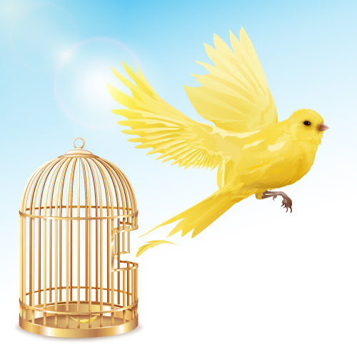ضرب المثل/ مرغ از قفس پرید