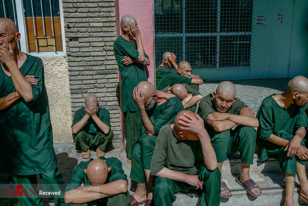 عکس/ دستگیری معتادان توسط طالبان