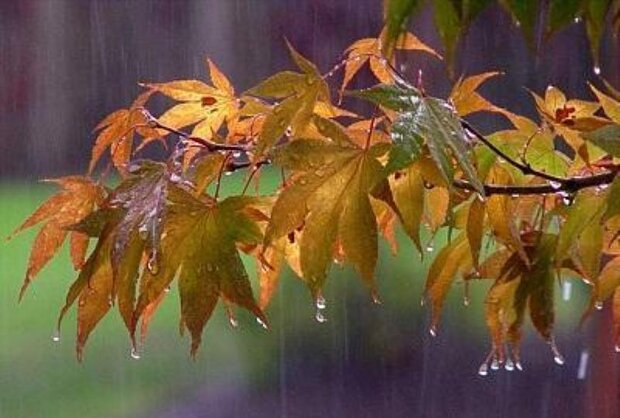 آغاز بارشهای پاییزی در اصفهان از نیمه دوم آبان