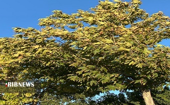 سردی هوا در آخرین روز مهر زنجان