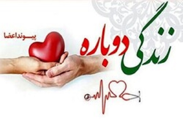 مرد ۵۸ ساله بندرعباسی نجات بخش زندگی ۳ نفر شد