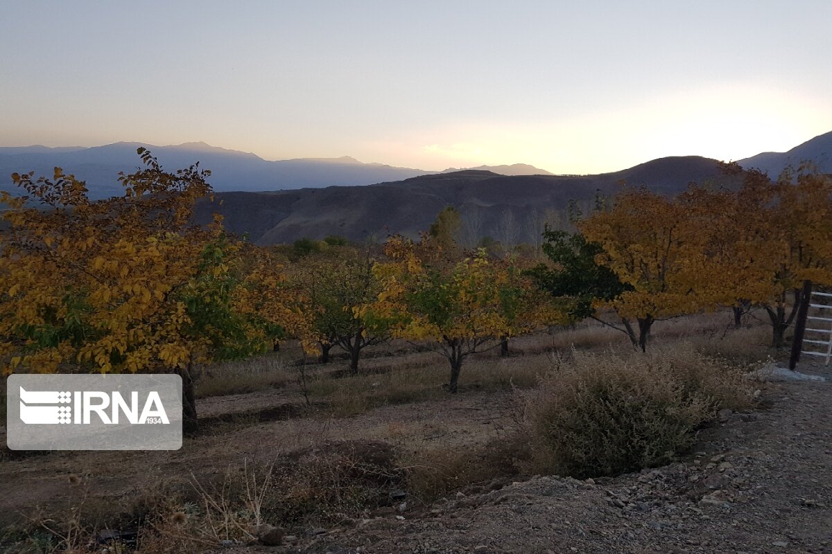 جلوه‌هایی از پاییز رنگارنگ در اشنویه