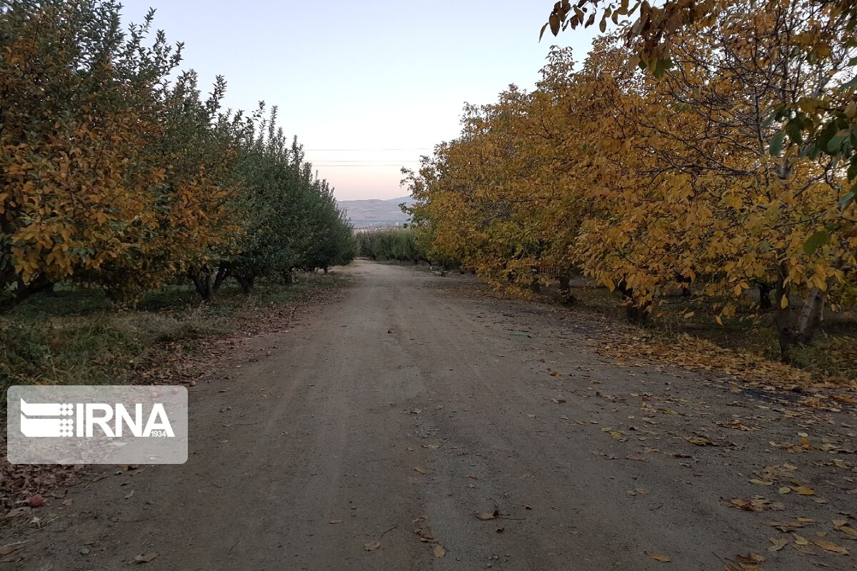 جلوه‌هایی از پاییز رنگارنگ در اشنویه