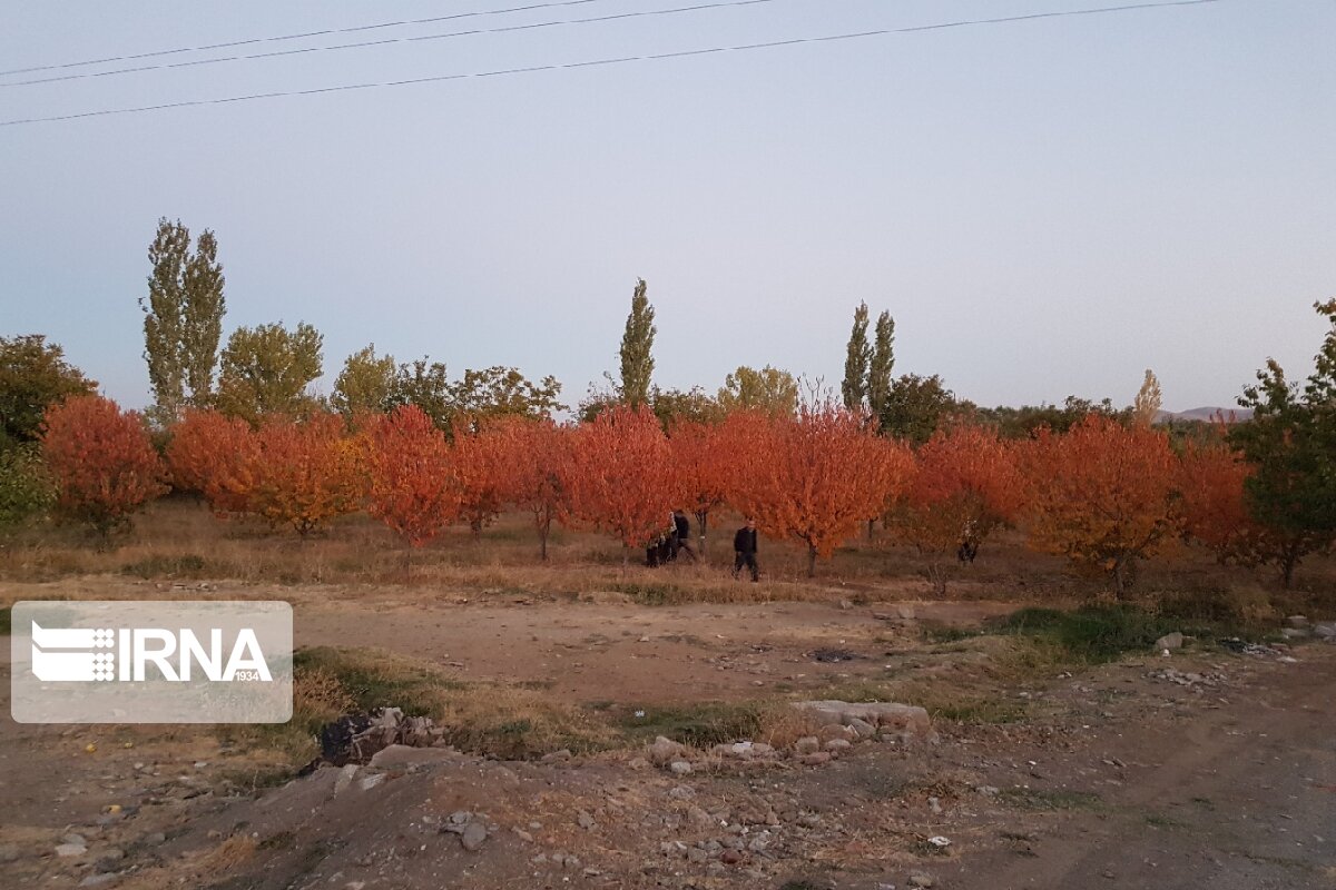 جلوه‌هایی از پاییز رنگارنگ در اشنویه