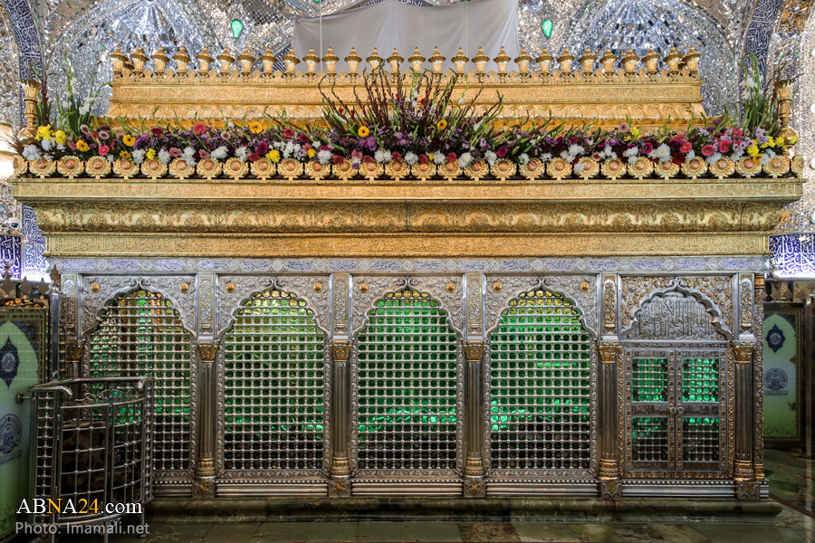 عکس/ گل آرایی ضریح حرم امام علی(ع) در آستانه میلاد رسول اکرم(ص)