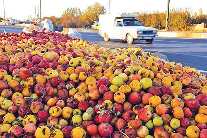 یادداشت/ دسترنج باغداران آذربایجانغربی در کنار جادهها