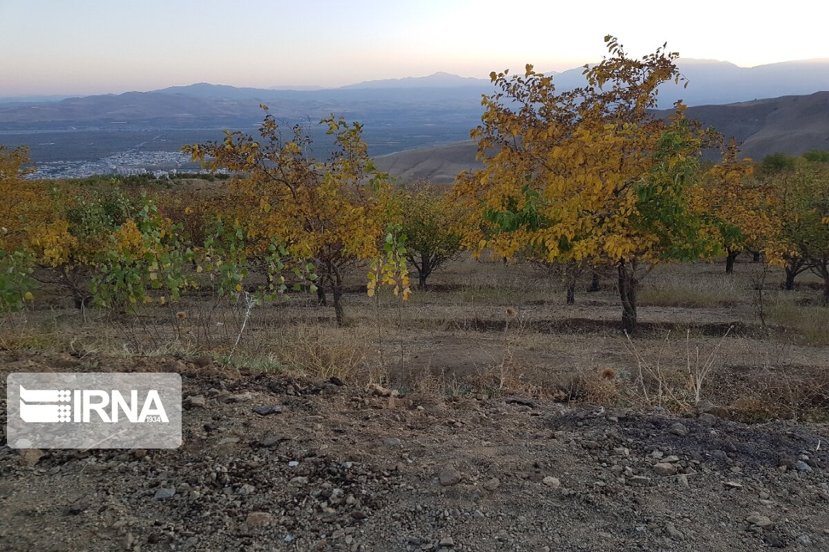 جلوه‌هایی از پاییز رنگارنگ در اشنویه