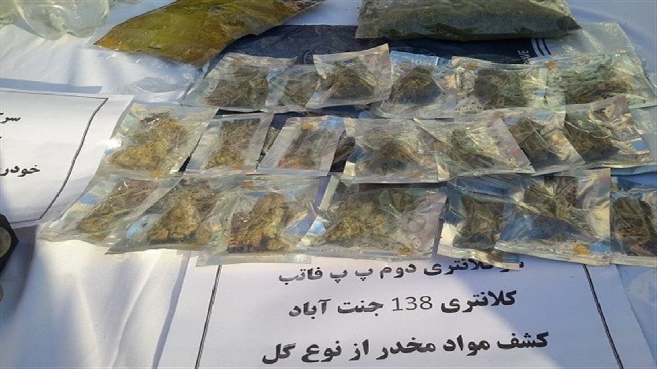 کوچ مواد فروشان از پارک ها به فضای مجازی