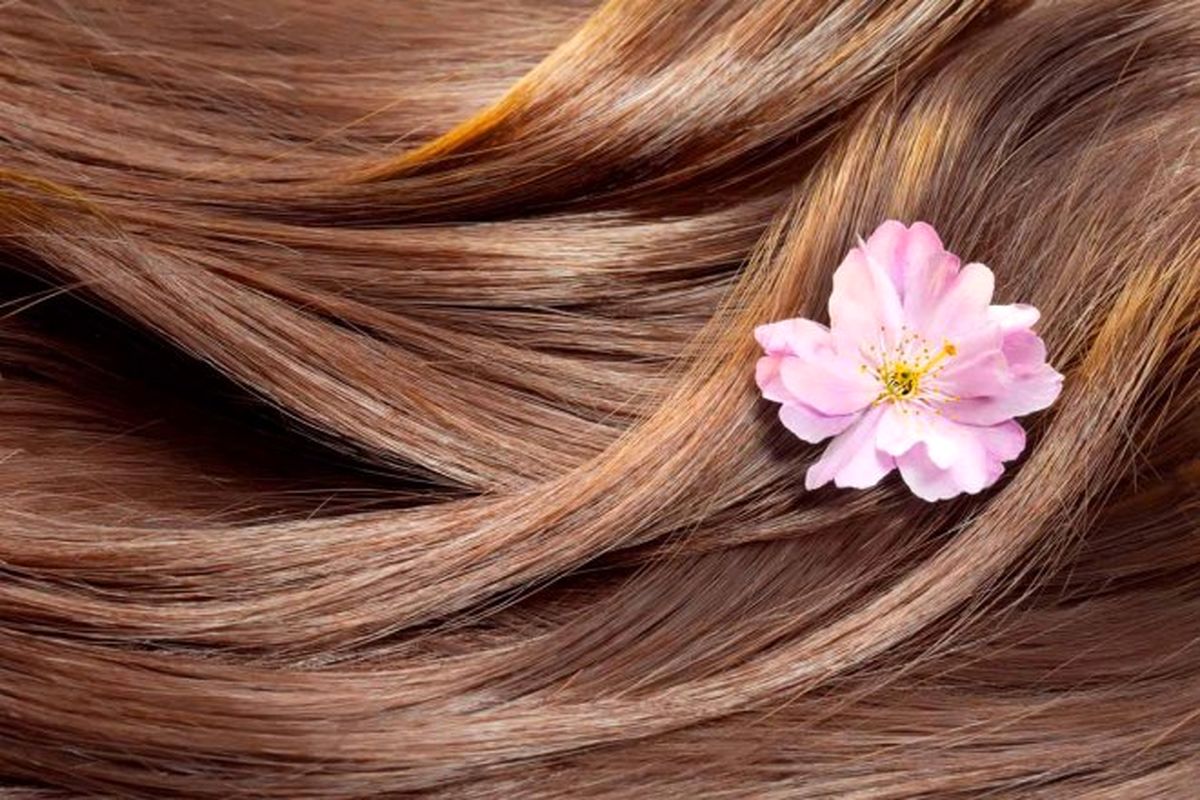 این چهار ماده غذایی به زیبایی مو کمک می کند