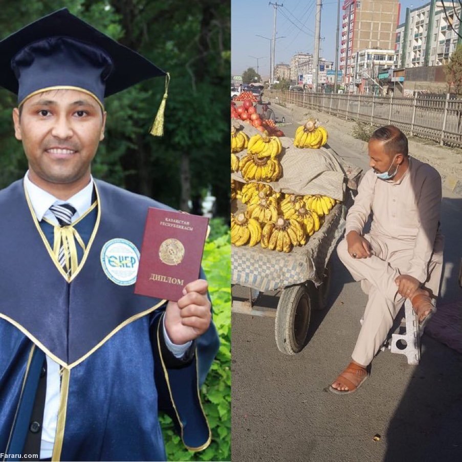 استاد دانشگاه کابل میوهفروش شد