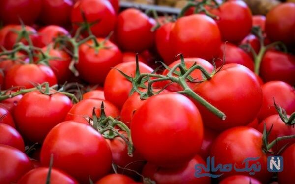 گوجه فرنگی را پخته میل کنید، فواید بیشتری دارد
