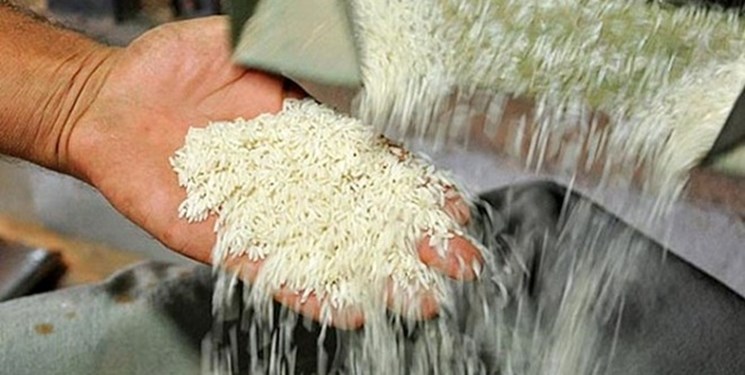 تلاش برای رام کردن قیمت برنج؛ واردات آزاد شد