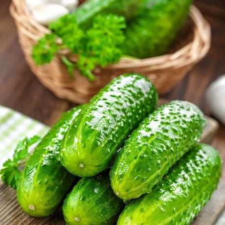 ترفندهای نگه داری خیار 