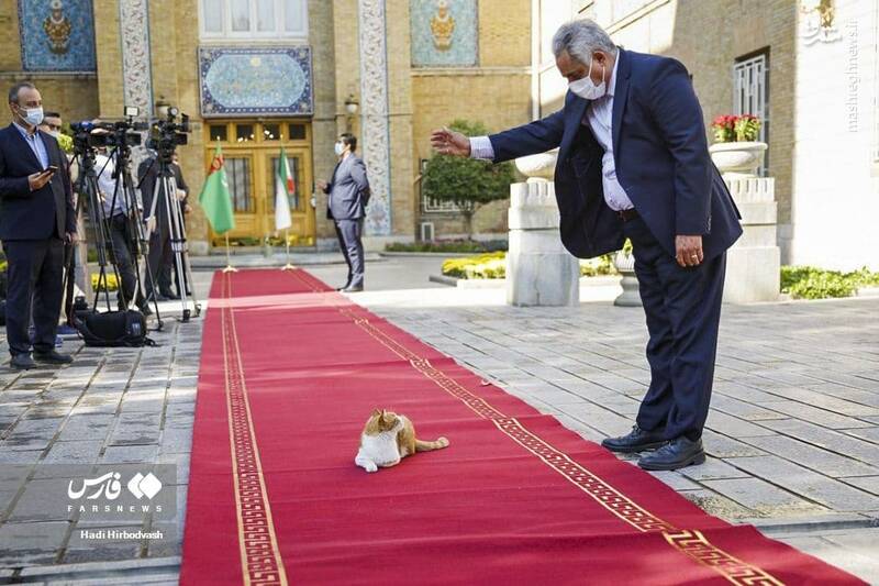 عکس/ مهمان ناخوانده روی فرش قرمز وزارت خارجه سوژه شد