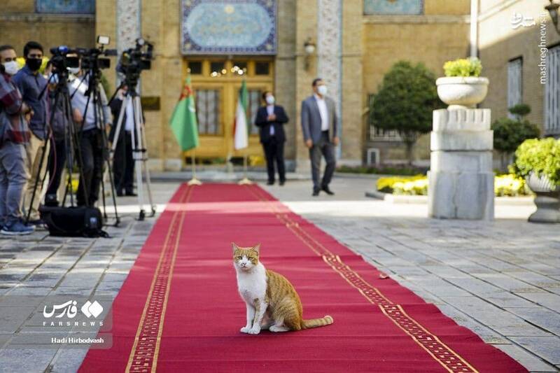 عکس/ مهمان ناخوانده روی فرش قرمز وزارت خارجه سوژه شد