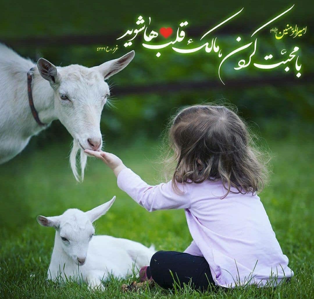 طرح/ با محبت کردن مالک قلب‌ها شوید
