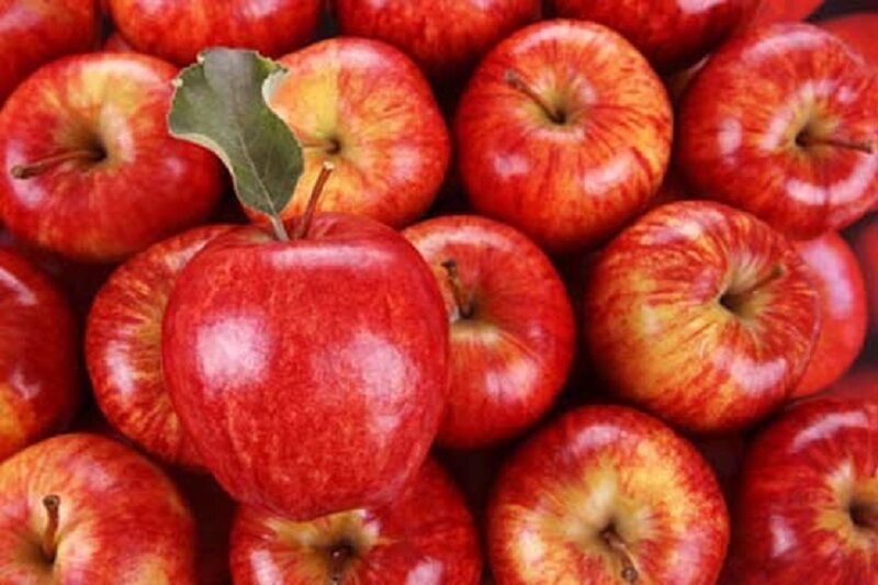امسال ۷۵ هزار تن سیب از آذربایجانغربی صادر شده است