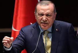 اردوغان سرگردان میان ترکیه مدرن و نئوعثمانیسم