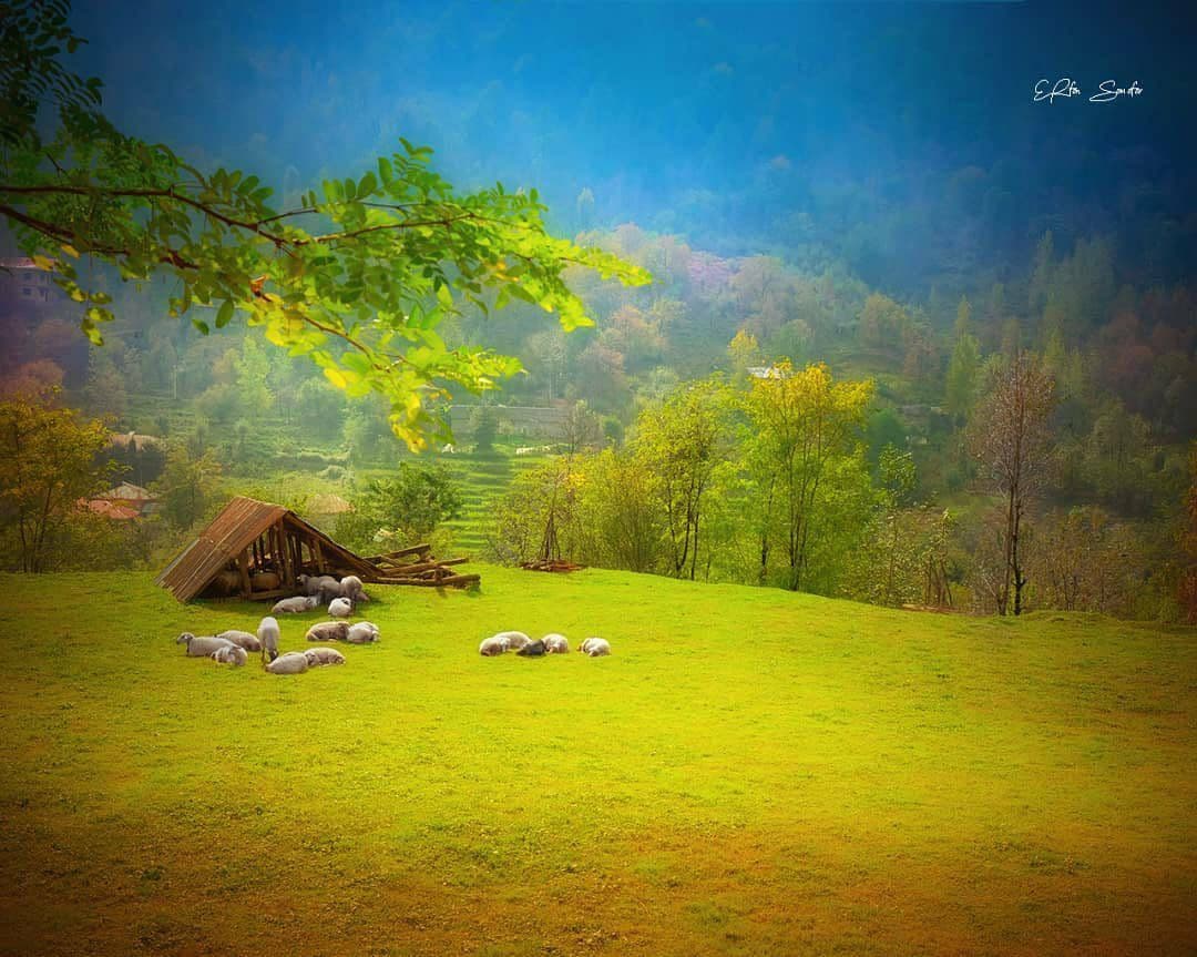 نمایی زیبا از ماسال گیلان