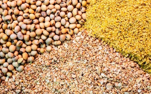 کشف خوراک دام احتکاری در اسلام آبادغرب 