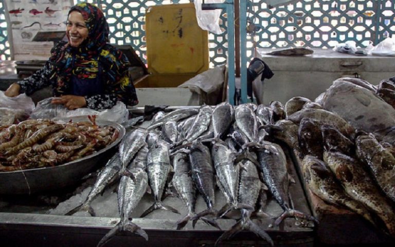 قاچاق گسترده ماهی به دوبی