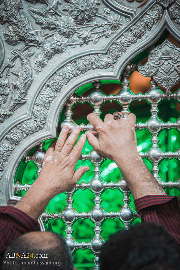 عکس/ حال و هوای حرم امام حسین(ع) در ماه ربیع الاول
