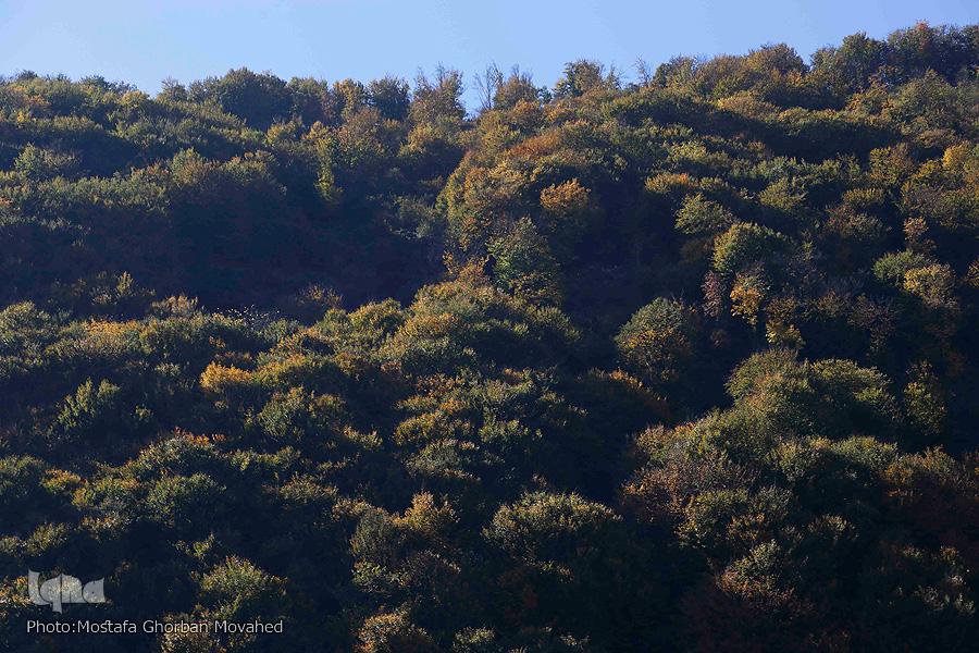 طبیعت پاییزی گردنه حیران