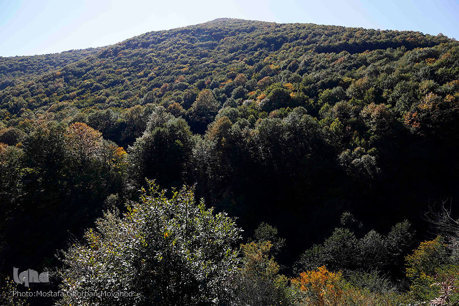 طبیعت پاییزی گردنه حیران