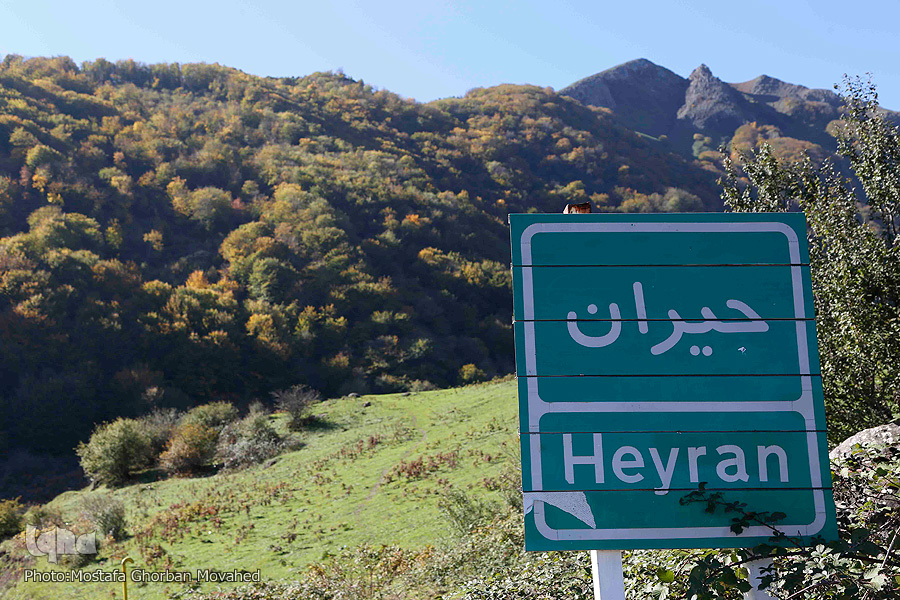 طبیعت پاییزی گردنه حیران