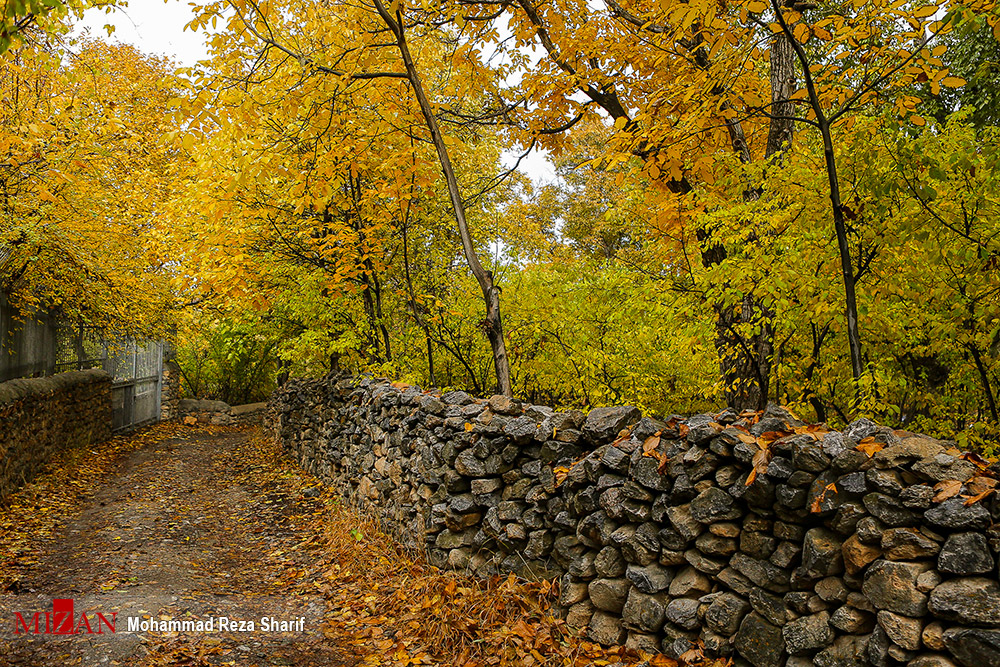 طبیعت پاییزی در خوانسار