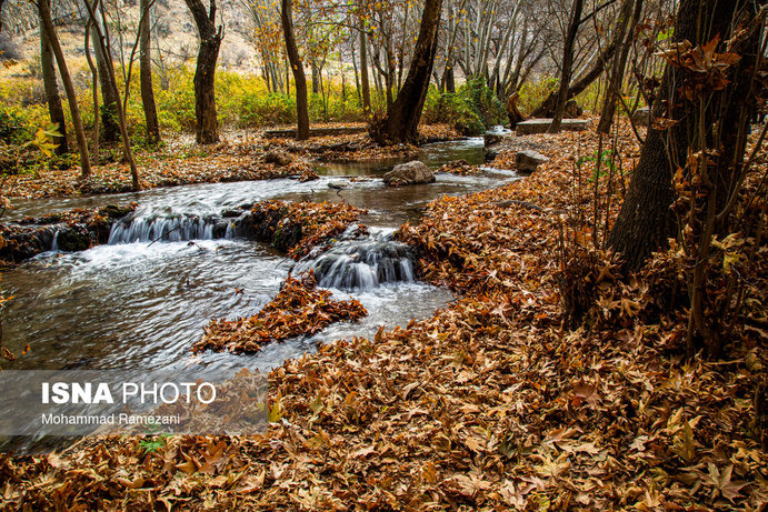 طبیعت پاییزی پارک ملی تندوره