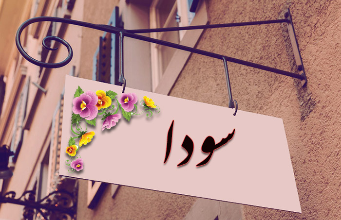 انتخاب اسم؛ معنی اسم «سودا» چیست؟