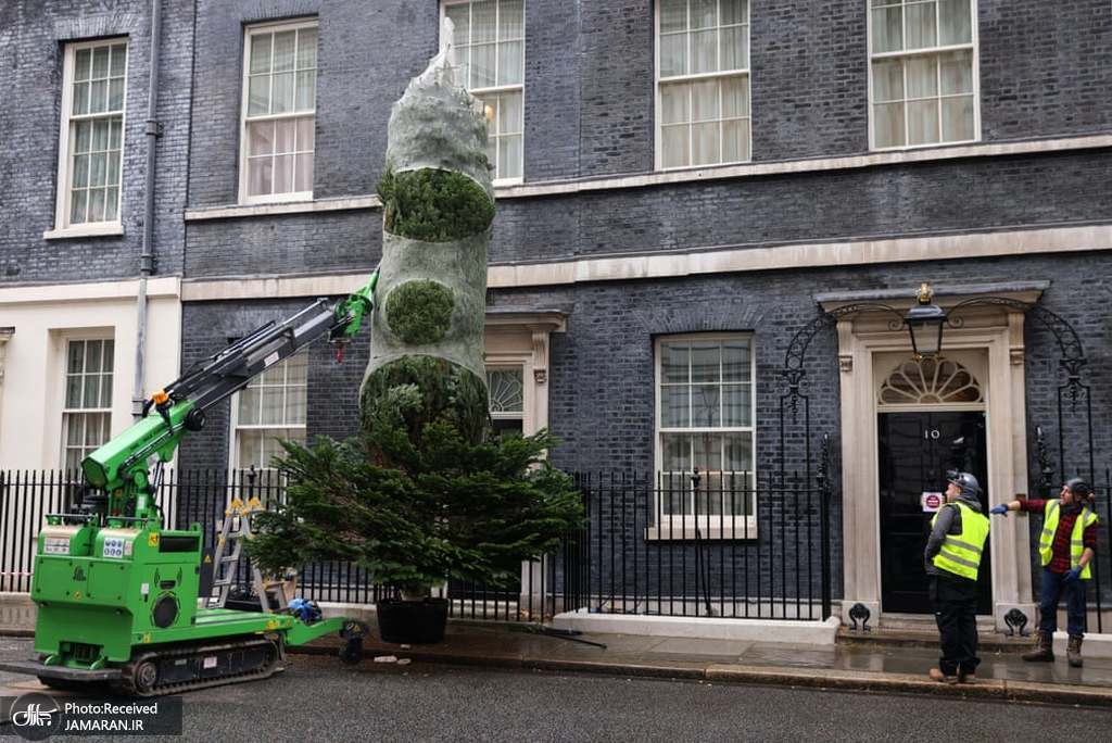 درخت کریسمس خانه نخست وزیر انگلیس