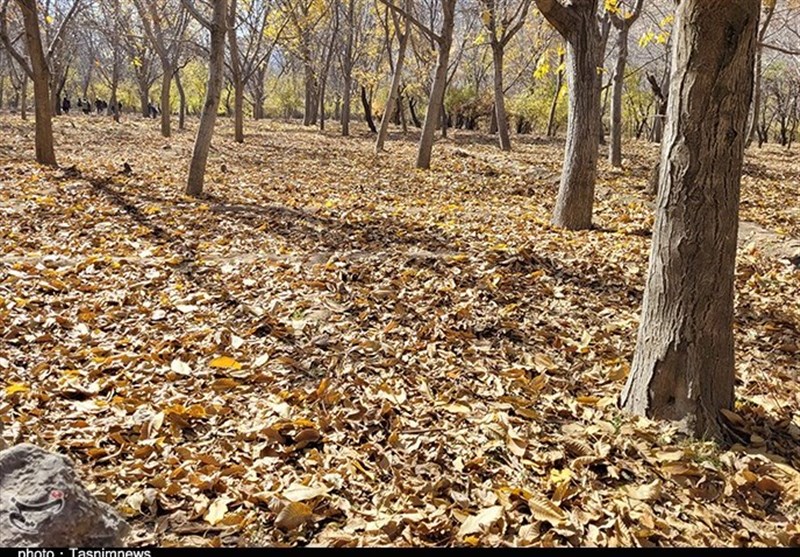 نقش رنگارنگ پاییز در ماسوله استان فارس به‌روایت تصاویر
