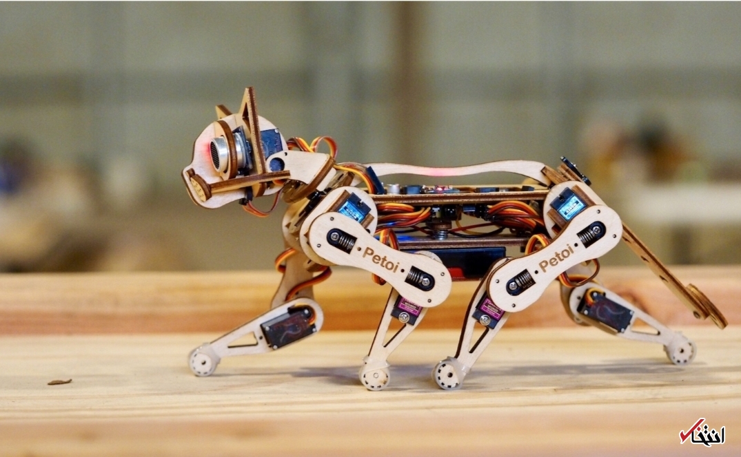 گربه رباتیکی که معلم برنامه نویسی است