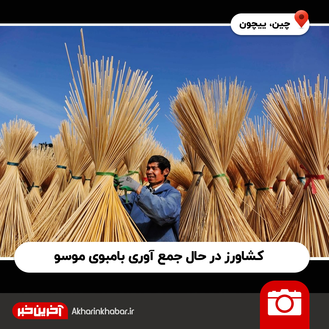 تصویر منتخب هفته از نگاه آخرین خبر 