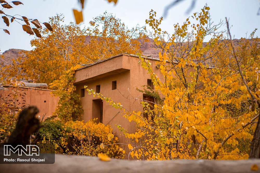 عکس/ پاییز طلایی در «روستای ابیانه» اصفهان